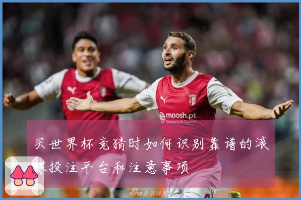 买世界杯竞猜时如何识别靠谱的滚球投注平台和注意事项