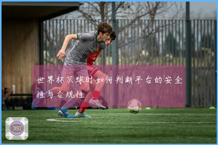 世界杯买球时如何判断平台的安全性与合规性