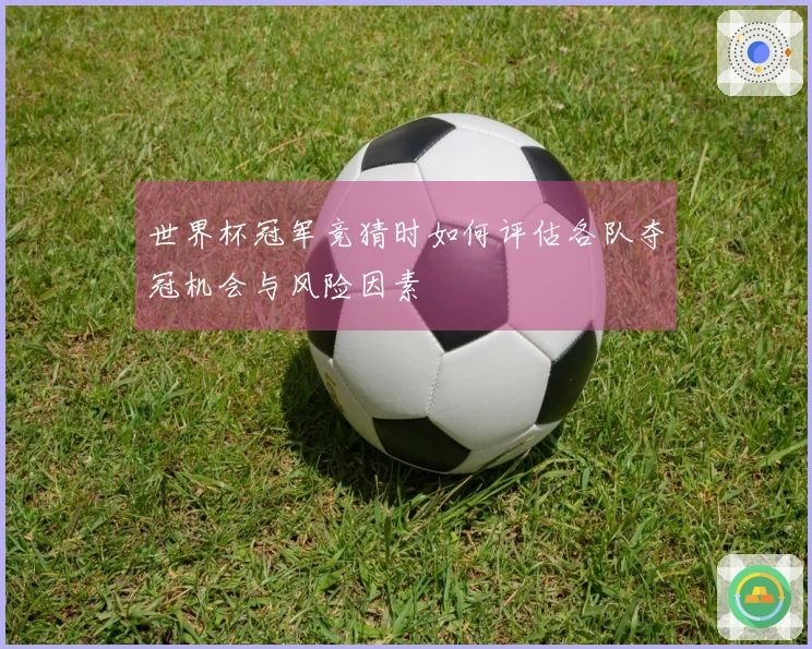 世界杯冠军竞猜时如何评估各队夺冠机会与风险因素