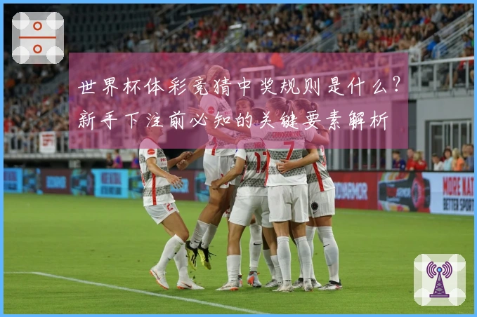 世界杯体彩竞猜中奖规则是什么？新手下注前必知的关键要素解析
